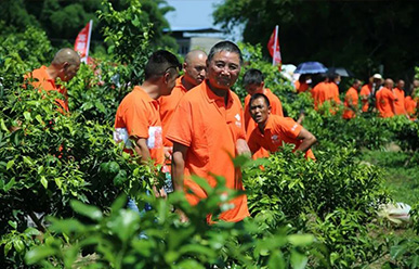 震驚：50元買一只紅蜘蛛？!——這一次，果農(nóng)們有話要說